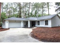 Charming one-story home with a gray roof, inviting curb appeal, and an attached two-car garage at 27944 Green Willow Run, Wesley Chapel, FL 33544