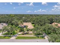 Expansive aerial view of single-story home showcasing lush landscaping and surrounding trees at 2914 Dick Wilson Dr, Sarasota, FL 34240