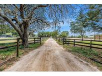 Long, tree-lined driveway leading to a horse farm estate at 12714 Tyler Run Ave, Odessa, FL 33556