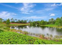 Scenic pond view with lush greenery, trees and blue sky, creating a serene outdoor atmosphere at 13108 Torresina Ter, Bradenton, FL 34211