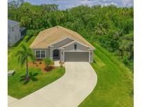 Aerial view of a single-story home with a well-manicured lawn and a long, curving driveway at 6204 Horse Mill Pl, Palmetto, FL 34221
