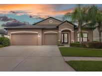 Charming single-Gathering home with a three-car garage, well-manicured lawn, and beautiful landscaping at 18620 Cortes Creek Blvd, Spring Hill, FL 34610