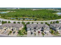 Townhomes with well maintained landscaping and driveways are situated near green space and water features at 30073 Southwell Ln, Wesley Chapel, FL 33543