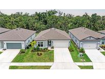 Well-manicured, single-story home with neutral colors, a two-car garage, and a walkway leading to the front door at 3129 61St E Ter, Ellenton, FL 34222