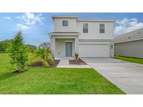 Charming two-story home with a well-manicured lawn and a two-car garage, perfect for modern living at 13117 Bayberry Way, Parrish, FL 34219