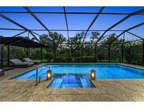 Screened-in pool area with an in-ground spa and lounge chairs, surrounded by lush greenery at 15315 Derna Ter, Bradenton, FL 34211