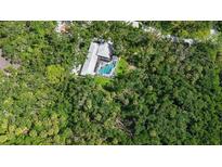 An aerial view of a lush backyard, featuring a sparkling swimming pool enclosed with an aluminum screen at 4511 Windsor Park, Sarasota, FL 34235