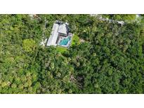 An aerial view of a home with a screened-in pool nestled among lush greenery and mature trees at 4511 Windsor Park, Sarasota, FL 34235