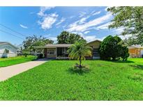 Charming single-story home featuring a lush green lawn and mature landscaping under a bright blue sky at 444 Flamingo Dr, Apollo Beach, FL 33572