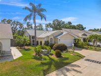 Charming single-story home featuring well-maintained landscaping and a welcoming front entrance with beautiful palm tree at 7716 Geneva Ln, Sarasota, FL 34243