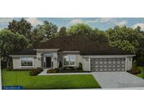 Charming single-story home featuring a two-car garage, well-manicured lawn, and elegant architectural details at 8464 Ginsberg Ter, North Port, FL 34287