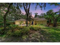 Charming home with a well-manicured lawn and lush tropical garden under a pink sky at 3217 Oak Grove Dr, Sarasota, FL 34243