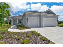 Beautiful single-story home with a manicured lawn, two car garage and covered entryway at 13908 Painted Loop, Parrish, FL 34219