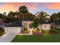 Stunning home exterior with lush landscaping, palm trees, and a two-car garage at sunset at 10022 Laurel Valley Avenue Cir, Bradenton, FL 34202