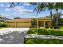 Charming single-story home featuring a three-car garage, manicured lawn, and tropical landscaping at 11009 Wildcat Dr, Riverview, FL 33579