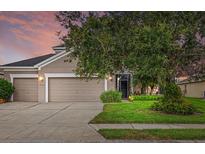 Charming home featuring a well-maintained lawn, an attached two-car garage and beautiful landscaping at 9927 58Th E St, Parrish, FL 34219