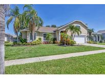 Charming single-Gathering home with beautiful landscaping, lush lawn and mature palm trees at 815 Greenview Dr, Apollo Beach, FL 33572