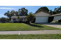 Charming single-story home with a well-manicured lawn, mature landscaping, and a two-car garage at 3237 Pine Haven Dr, Clearwater, FL 33761