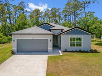 Charming single Gathering home featuring a two-car garage and a well-manicured lawn at 3885 Eagle Pass St, North Port, FL 34286