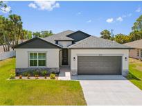 Charming single-story home with a well-manicured lawn, gray roof, and a two-car garage at 4131 Bula Ln, North Port, FL 34287