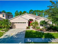 Attractive single-story house with a red door and well-manicured landscaping at 2507 Hobblebrush Dr, North Port, FL 34289