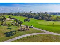 Aerial view of a lush golf course with palm trees and players at 14070 Heritage Landing Blvd # 423, Punta Gorda, FL 33955
