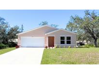 Charming single-story home with a two-car garage and a well-manicured lawn at 3471 Ledgewood St, Port Charlotte, FL 33948
