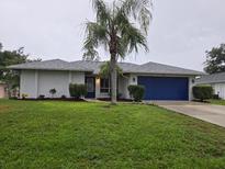 Well-maintained single-Gathering home featuring a lush green lawn and mature palm tree at 3753 Aba Ln, North Port, FL 34287