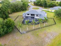 Stunning aerial view of a fenced backyard with screened-in pool and manicured palm trees on a large lot at 384 Viedma St, Punta Gorda, FL 33983