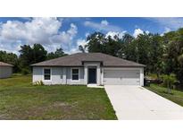 Charming single-story home with a well-maintained lawn and attached two-car garage at 4127 Snowdrop St, North Port, FL 34288