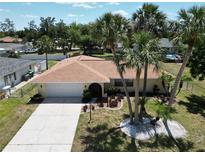 Charming single-story home with a well-manicured lawn, beautiful palm trees and a two-car garage at 21035 Exmore Ave, Port Charlotte, FL 33952