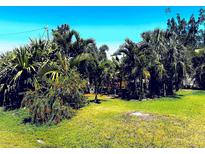 Landscaped front yard featuring lush tropical foliage and mature trees, creating a private outdoor space at 4344 Commercial St, Port Charlotte, FL 33953