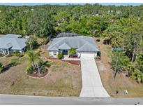 Charming single-Gathering home featuring a screened-in pool and lush landscaping at 1313 Wise Dr, North Port, FL 34286
