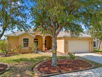 Charming single-story home with a well-manicured lawn, mature tree, and inviting curb appeal at 2871 Suncoast Lakes Blvd, Punta Gorda, FL 33980