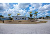 Charming single-story home on corner lot with manicured lawn and mature palm trees at 6336 Drucker Cir, Port Charlotte, FL 33981