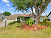 Well-maintained single-story home featuring a spacious front yard with lush landscaping and a mature shade tree at 158 Norman St, Port Charlotte, FL 33954