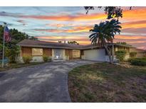 Charming single-story home featuring a palm tree, double-door entry, and beautiful landscaping at sunset at 6916 Rex Ln, Sarasota, FL 34243