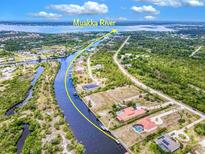 Aerial view showcasing the Myakka River flowing behind beautiful homes surrounded by lush greenery at 13295 Eisenhower Dr, Port Charlotte, FL 33953