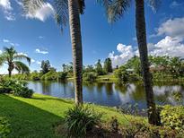Scenic water view framed by palm trees, featuring lush greenery and blue skies on a sunny day at 5725 Greenwood Ave # 5103, North Port, FL 34287