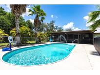 Sparkling in-ground pool with mature palms and screen enclosure under a bright blue sky at 8513 Heister St, Punta Gorda, FL 33982
