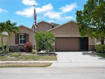 Charming single-Gathering home featuring a two-car garage, beautiful landscaping, and an American flag at 10131 Winding River Rd, Punta Gorda, FL 33950