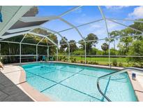 Screened in pool area with bright blue water and a green space view at 2381 Montpelier Rd, Punta Gorda, FL 33983