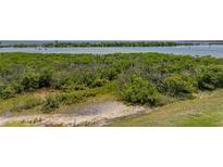 Scenic waterfront view with lush greenery and calm waters at 6000 Boca Grande Cswy # D46, Boca Grande, FL 33921