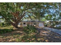 House exterior featuring a single-story home with a large tree and driveway at 1860 Bluebird Ln, Englewood, FL 34224
