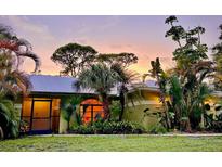 Charming home exterior with lush landscaping and a vibrant sunset backdrop at 850 Van Gogh Road, Englewood, FL 34223