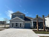 Two-story house with a two-car garage and palm trees at 17422 Crisp Apple Ln, Land O Lakes, FL 34638