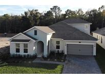 Charming single-Gathering home with a two-car garage and well-manicured lawn at 9558 Brave Buck Ave, Land O Lakes, FL 34638