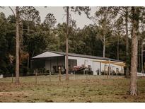 View of white barn with black roof and surrounding grass and woods at 18142 Powerline Rd, Dade City, FL 33523