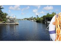 Scenic waterfront view with boat docks on a sunny day, showcasing easy access to the water at 817 Blue Heron Blvd, Ruskin, FL 33570
