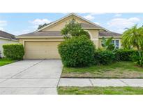 One-story house with a landscaped yard at 10507 Goldwater Ln, Riverview, FL 33569